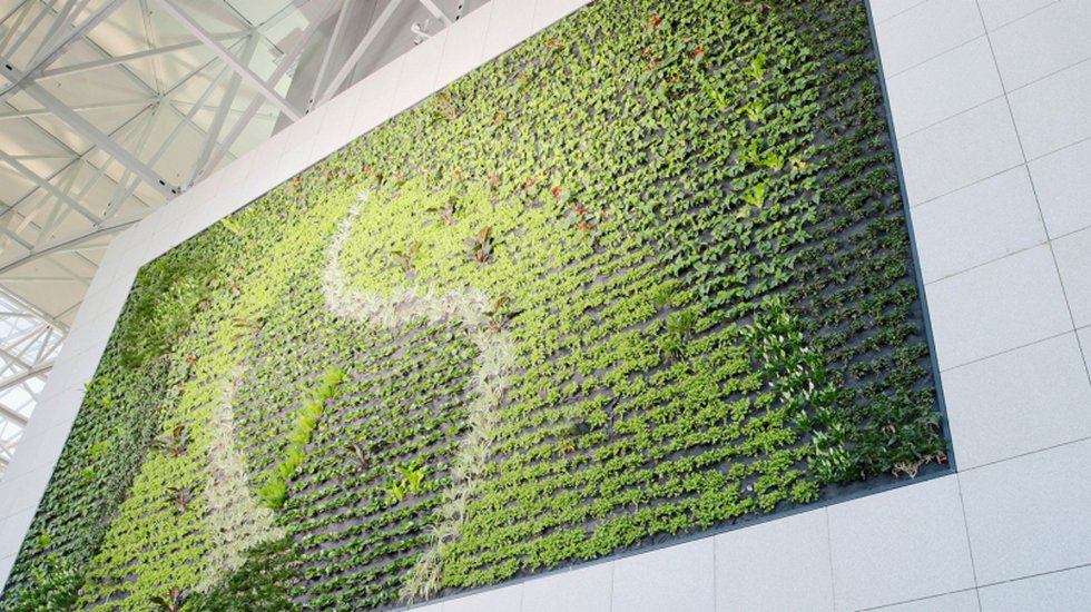 A green wall inside Frankfurt Airport